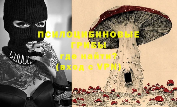 бошки Арсеньев
