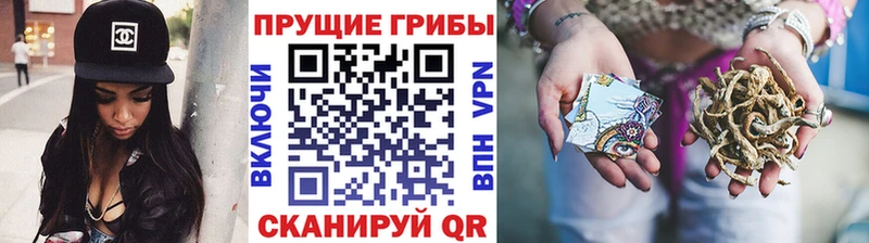 Купить где  Кольчугино  Псилоцибиновые грибы прущие грибы 